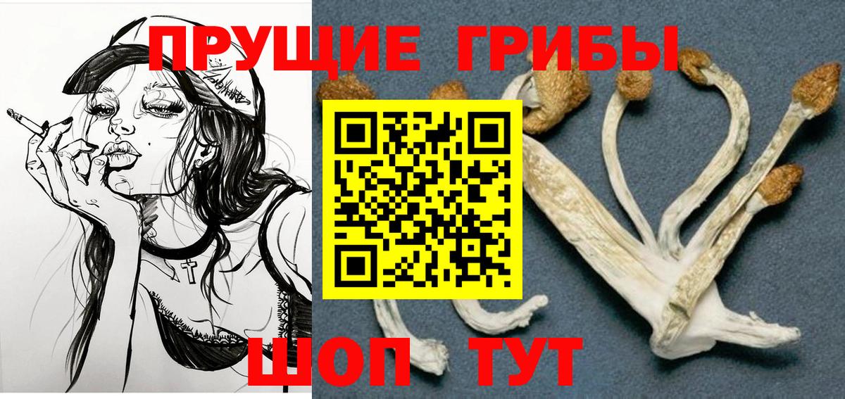 Псилоцибиновые грибы мицелий Шебекино