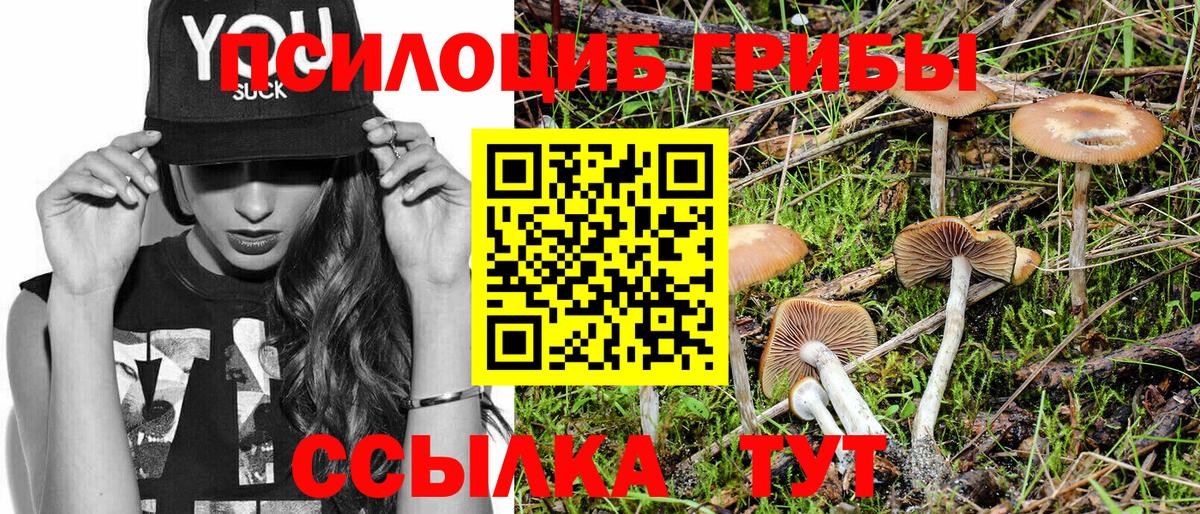 Псилоцибиновые грибы ЛСД  Вход с VPN  Шебекино 